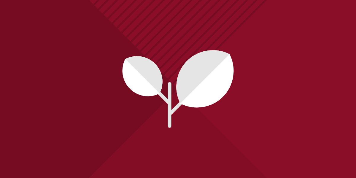 Guideline on cocoa products - REWE Group