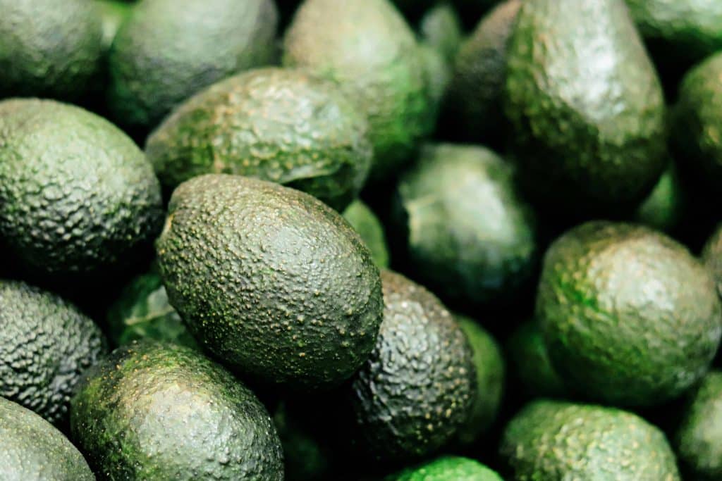 Fresh organic avocado at farmer's market