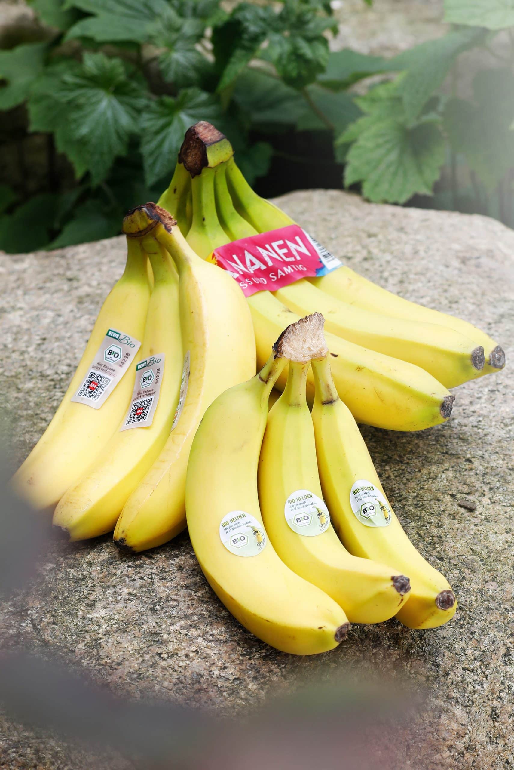 Bio-Bananen mit Aufkleber