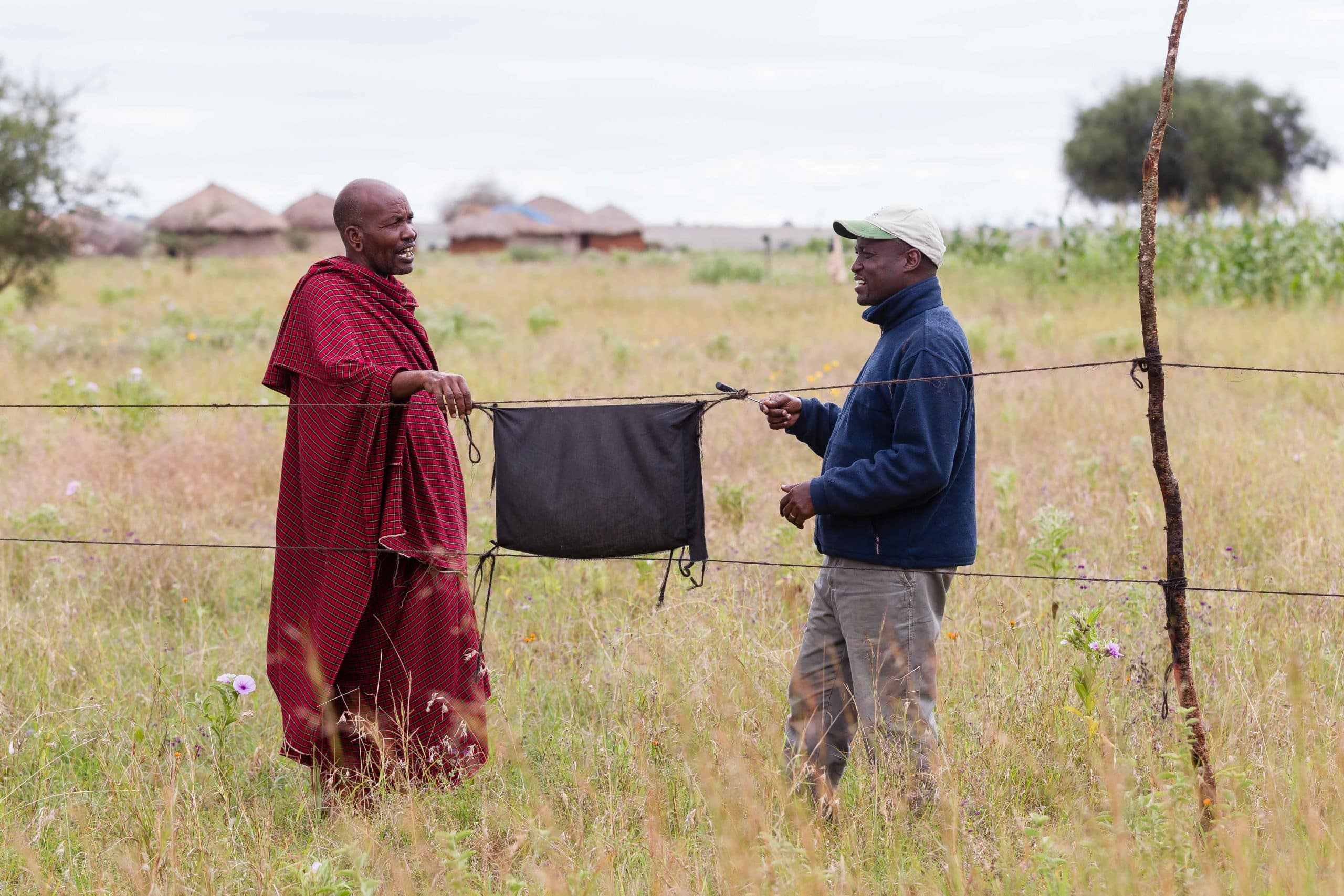 Ein Bild von zwei Männern, die einen Elefantenschutz an einem Zaun in Afrika anbringen