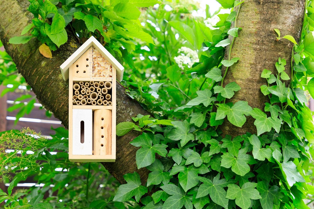 Insektenhotel, welches an einem mit Efeu bewachsenen Baum hängt