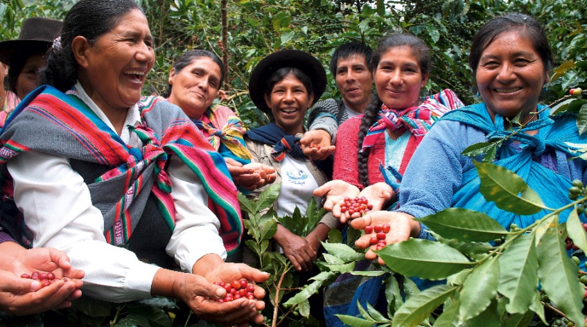 Eine Gruppe von Frauen halten Kaffeebeeren in den Händen