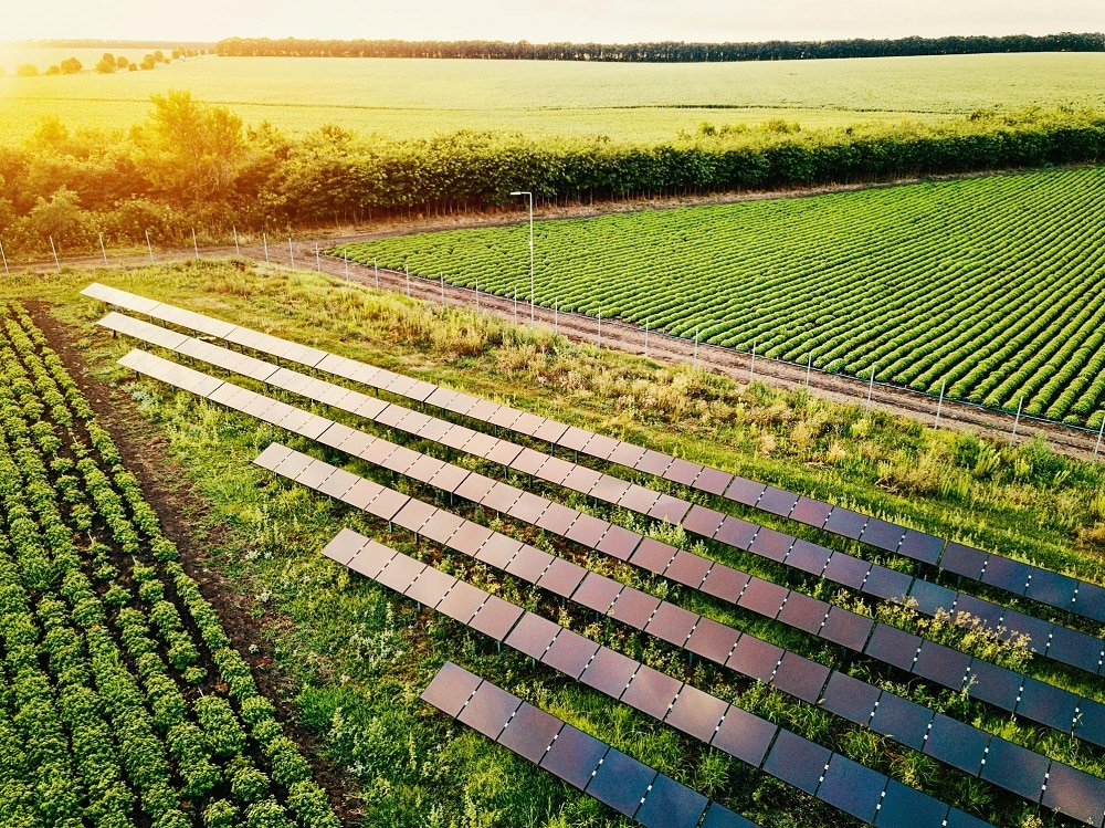 Solarenergie-Farm