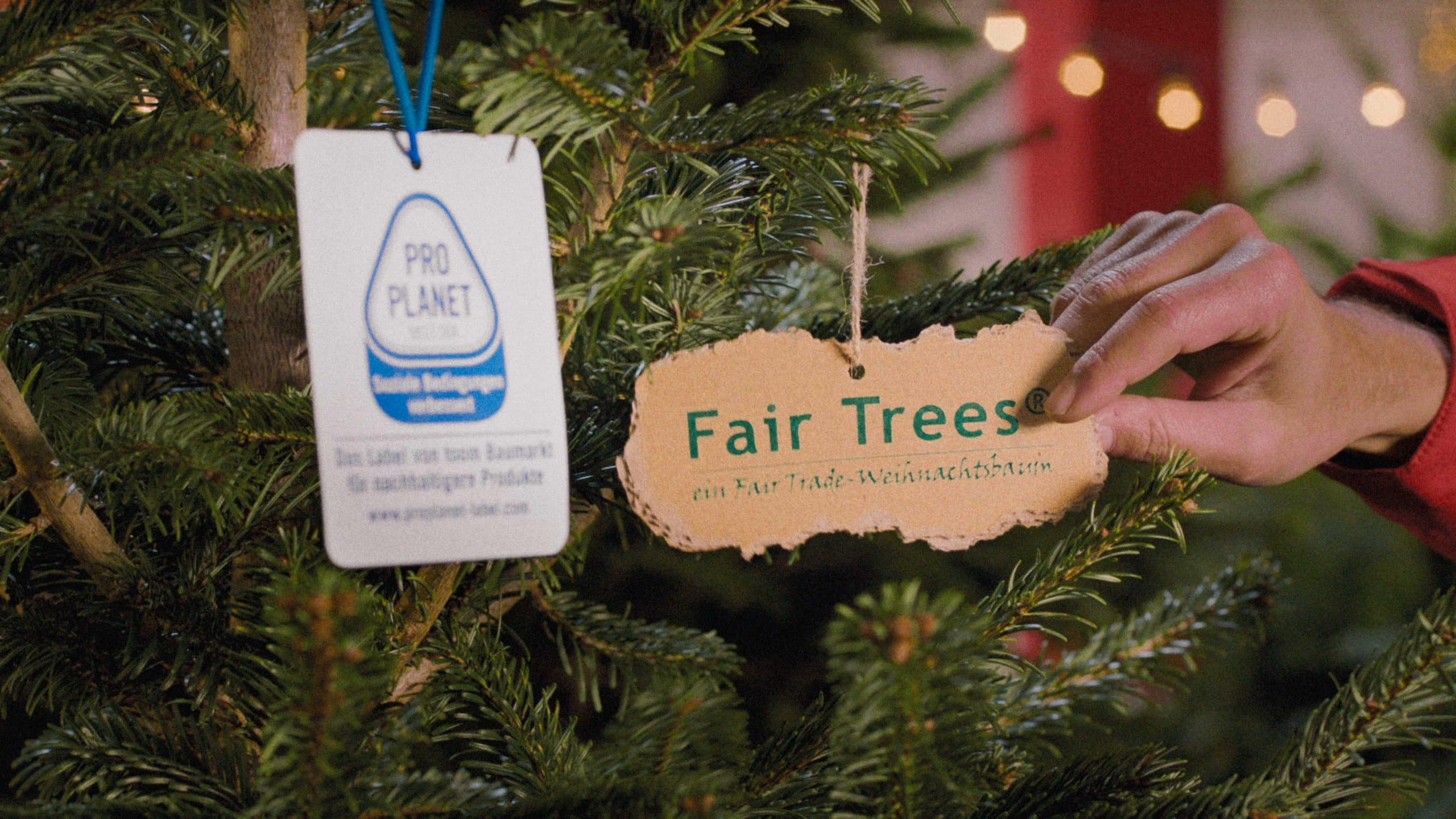 Zwei Schilder von Pro Planet und Fair Trees hängen an einem Weihnachtsbaum