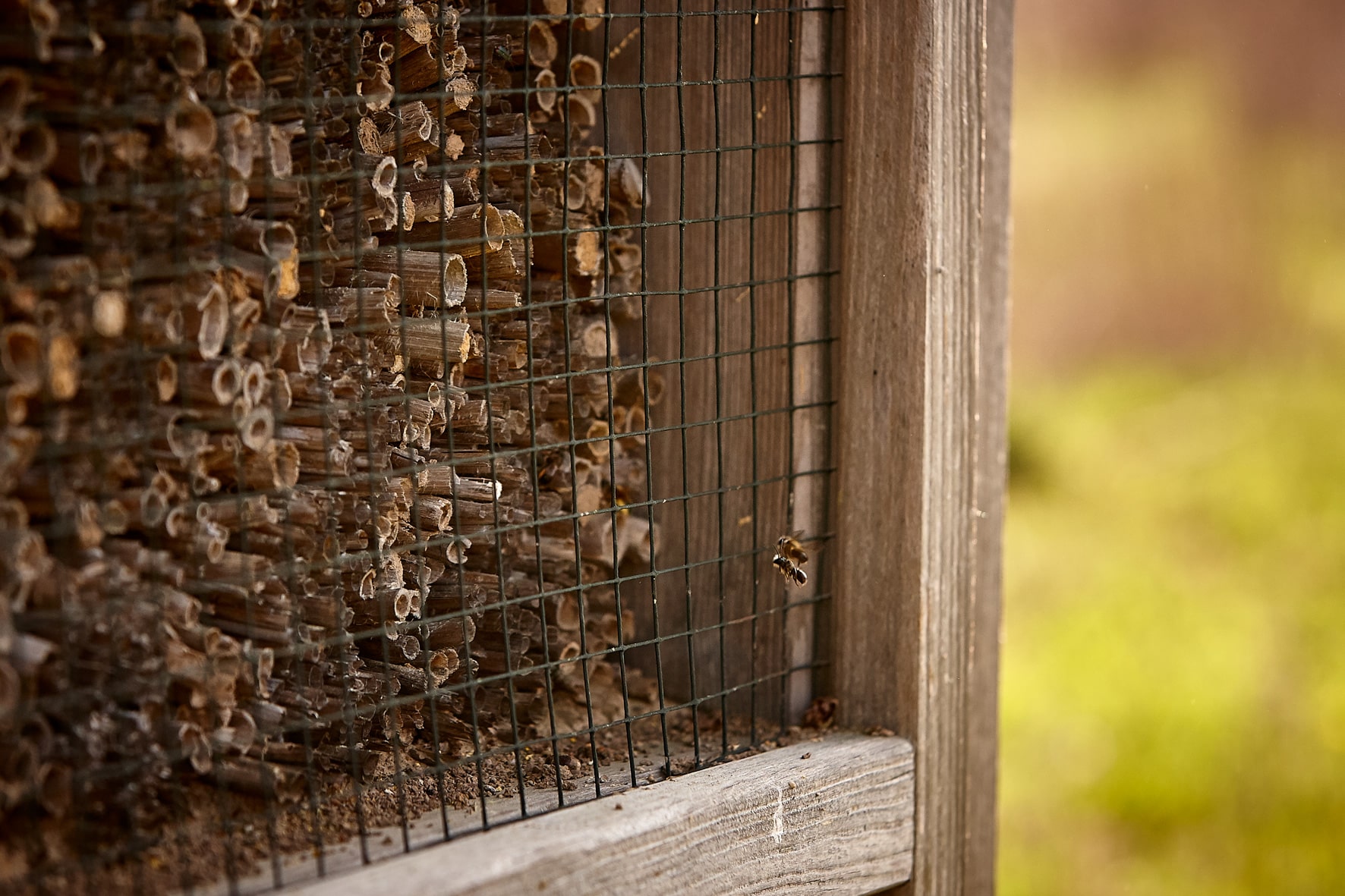 Bienenhotel