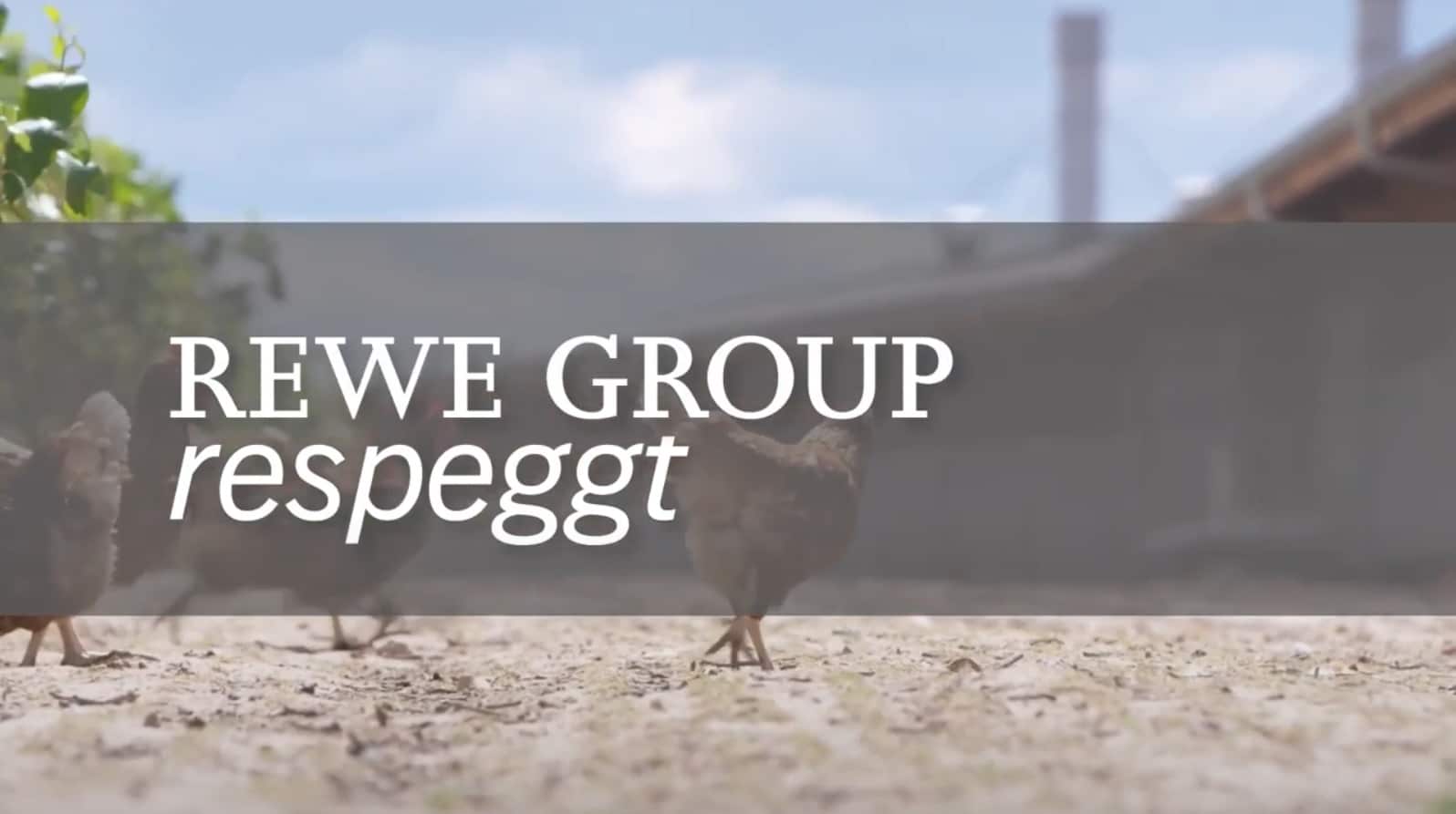 REWE Group respeggt Schriftzug vor einem Bild von Hühner in der Freilandhaltung
