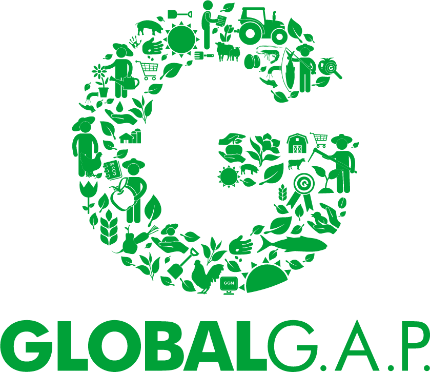 Das Logo der global g. a. p.