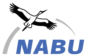 nabu