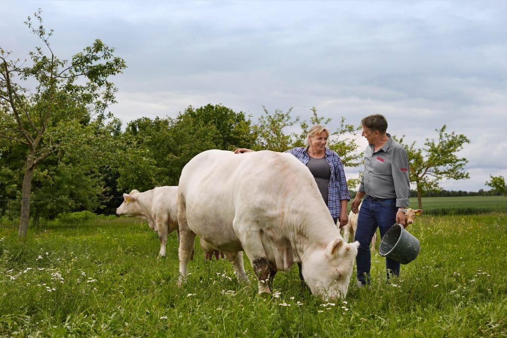 Zwei Landwirt:Innen auf der Kuhweide