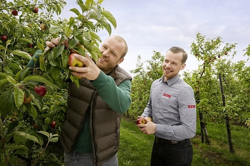Ein Kaufmann und ein Landwirt stehen an einem Apfelbaum.