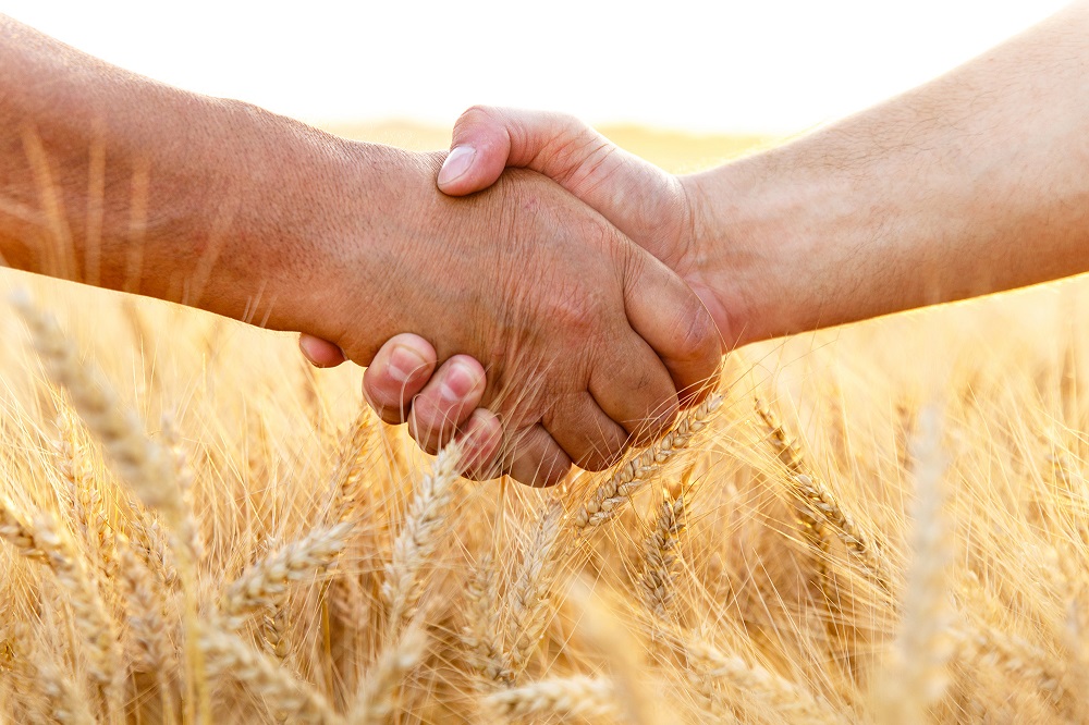 Die Nahaufnahme eines Handschlags zwischen zwei Menschen, der auf einem Feld stattfindet