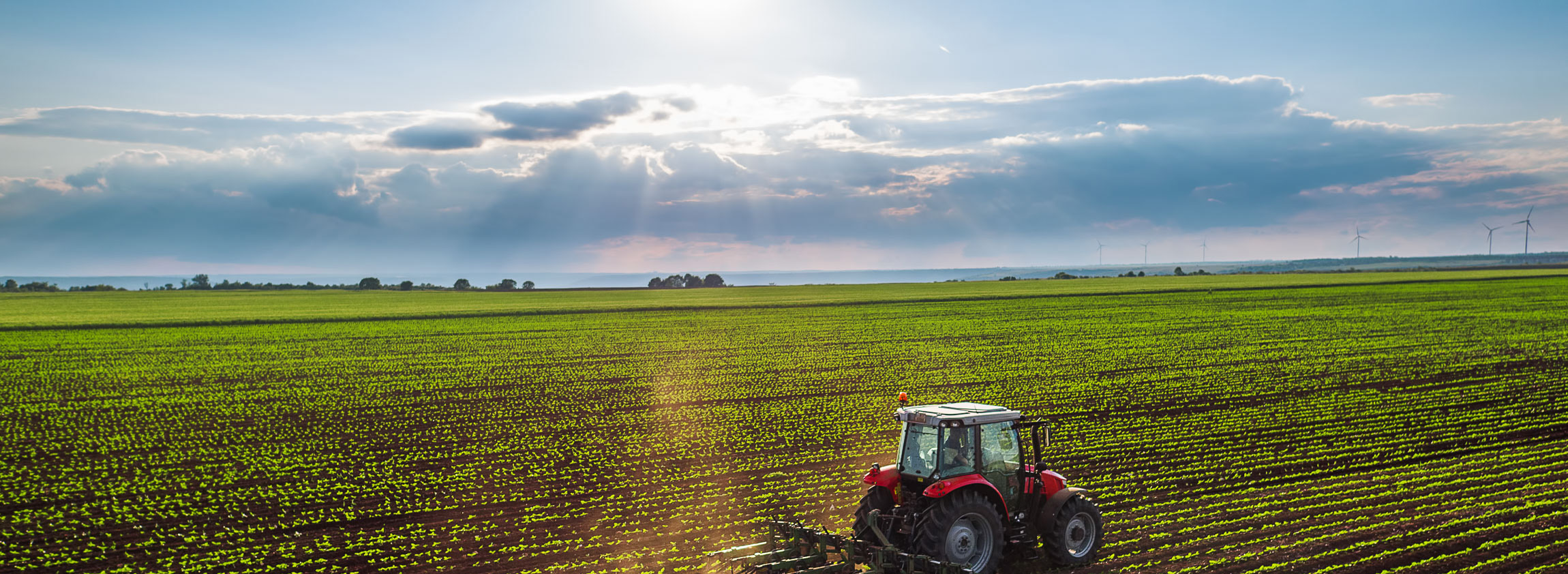 Ein Traktor fährt über ein Feld