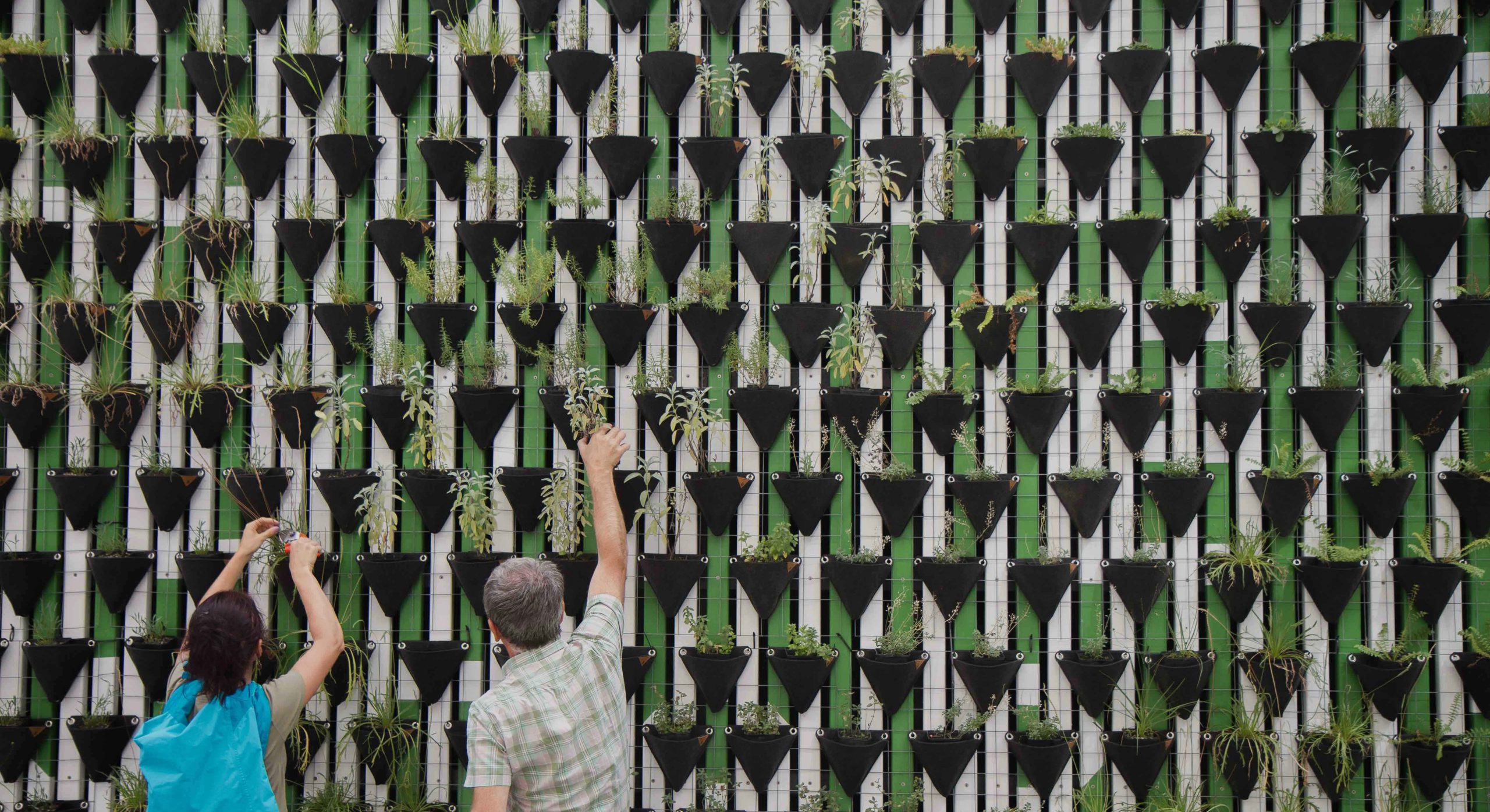 Eine Frau und ein Mann beschneiden Pflanzen an der Wand. Ein Symbolbild für unsere Nachhaltigkeitsstrategie