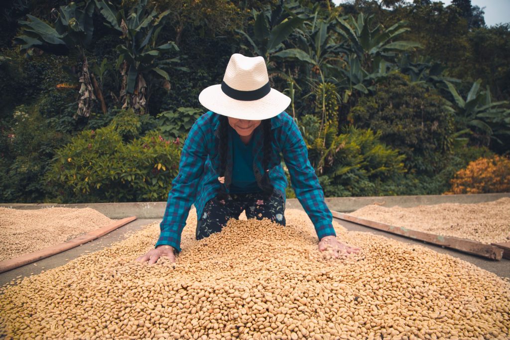 Female coffee farmer working
