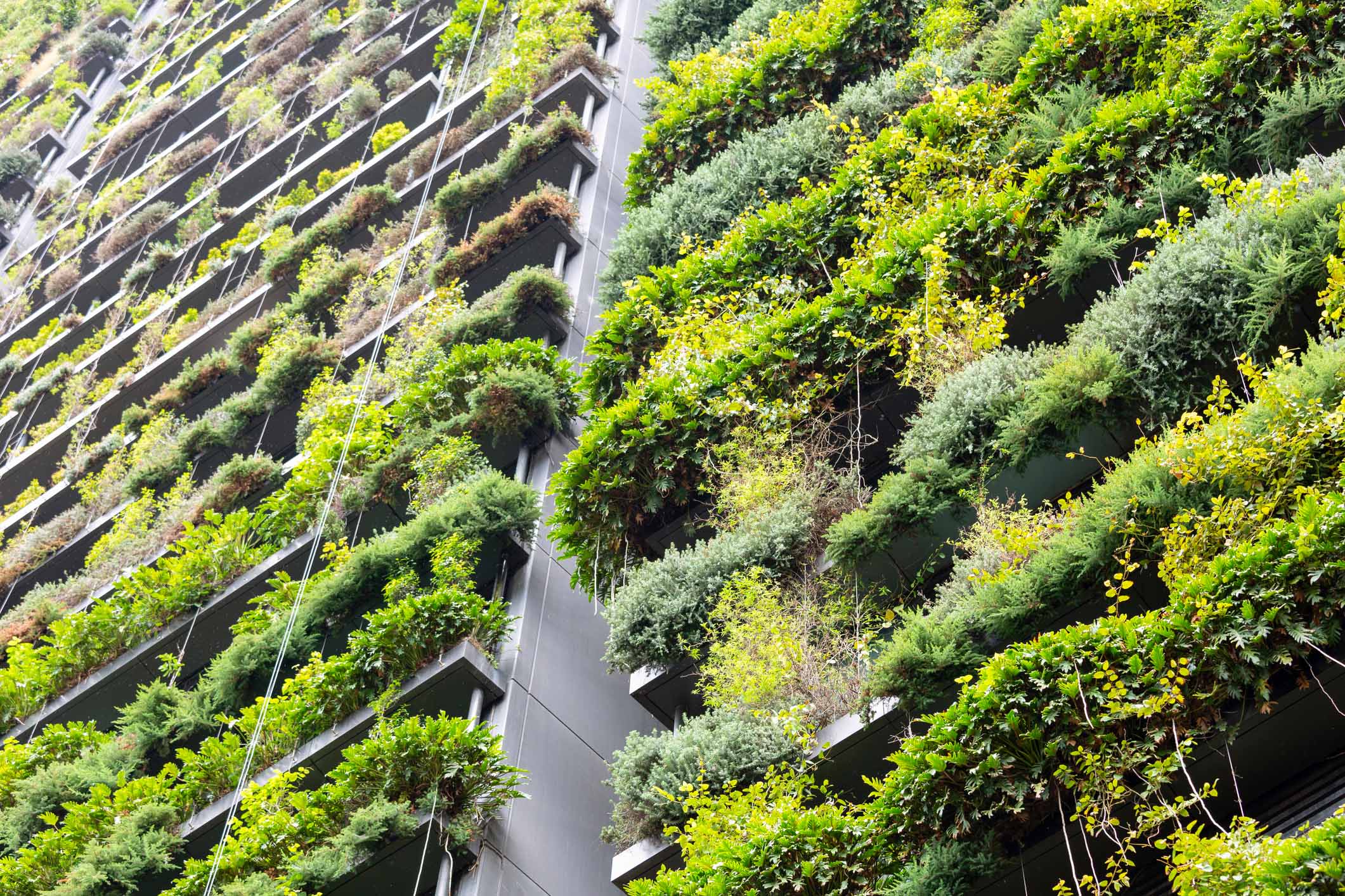 Closeup of appartment building with vertical garden