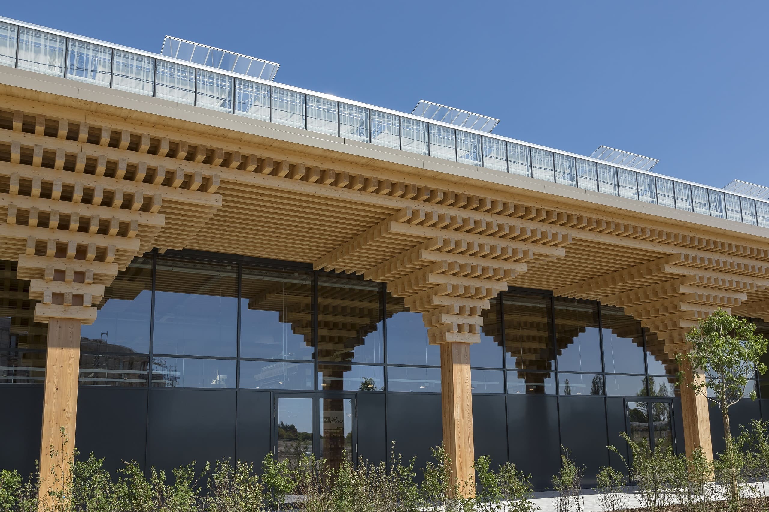 Holzkonstruktion vom REWE Green Building in Wiesbaden.