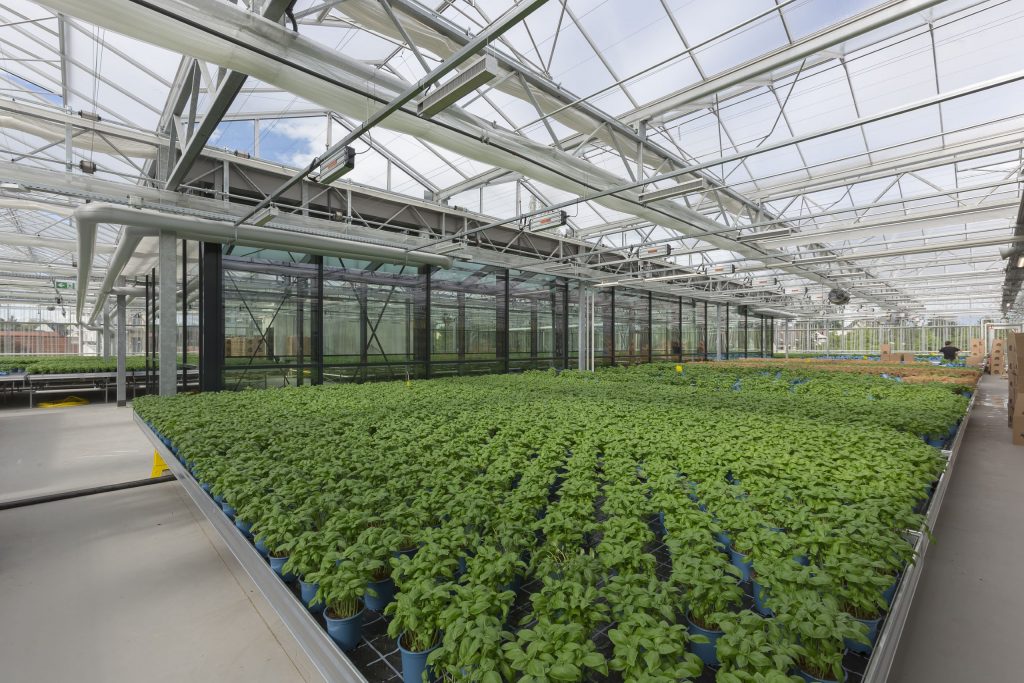 rewe-group-nachhaltigkeits-gri-bericht-2020