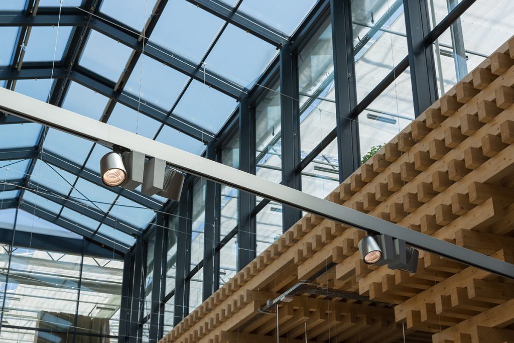 Die Holz- und Glaskonstruktion eines Green Buildings der REWE Group