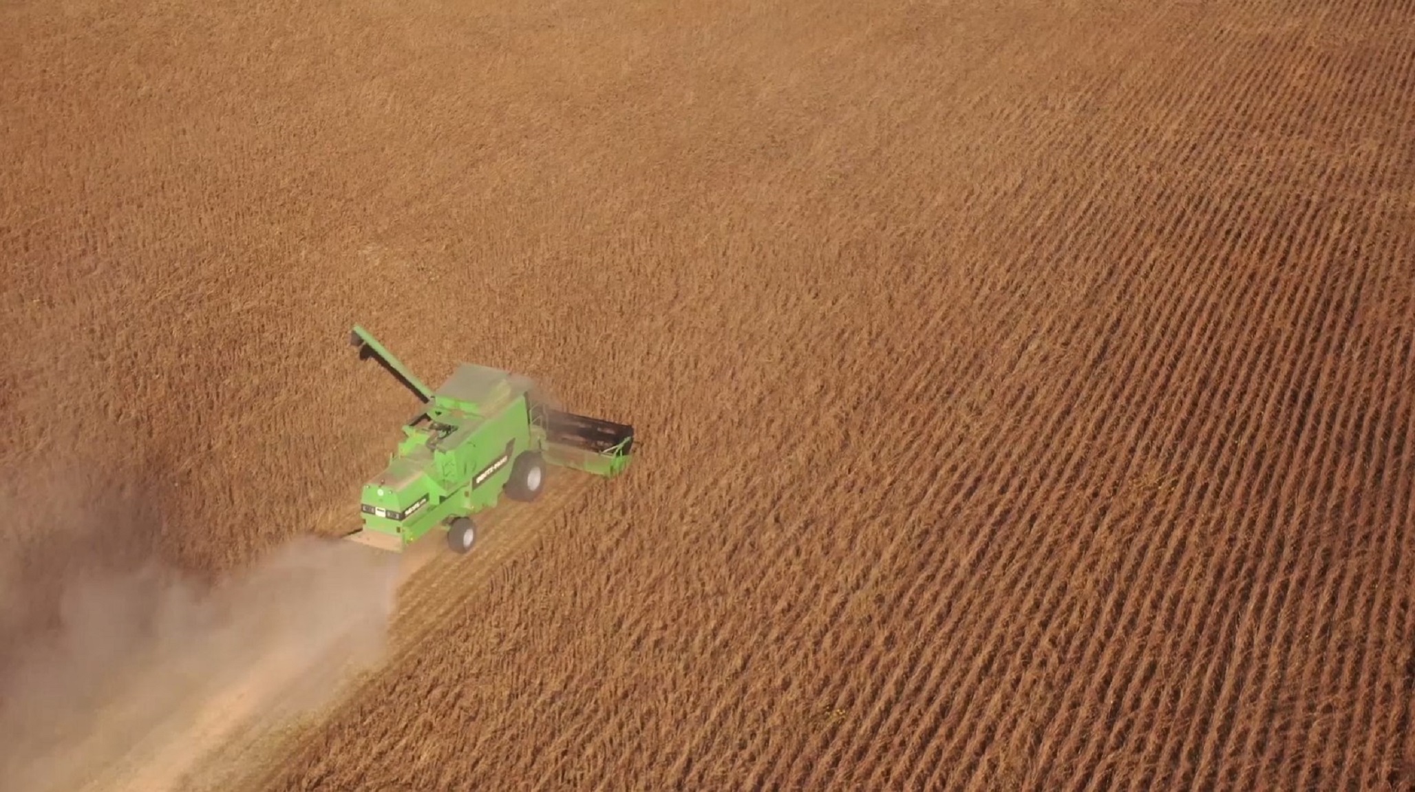 Traktor bearbeitet ein Feld für den Anbau.