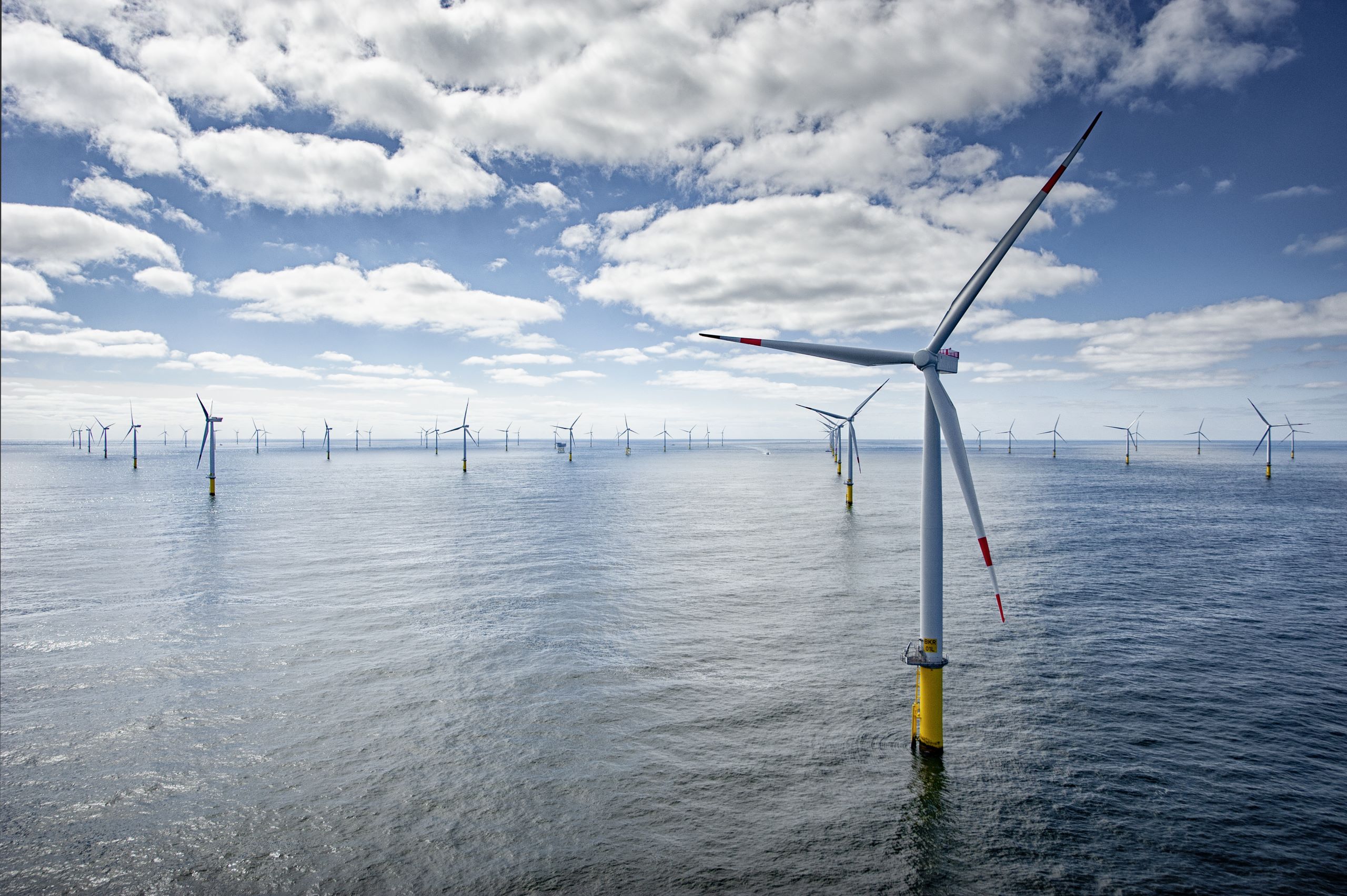 Windkraftanlagen im Offshore-Windpark Borkum Riffgrund 1, in dessen Nähe der Bau von Borkum Riffgrund 3 geplant ist