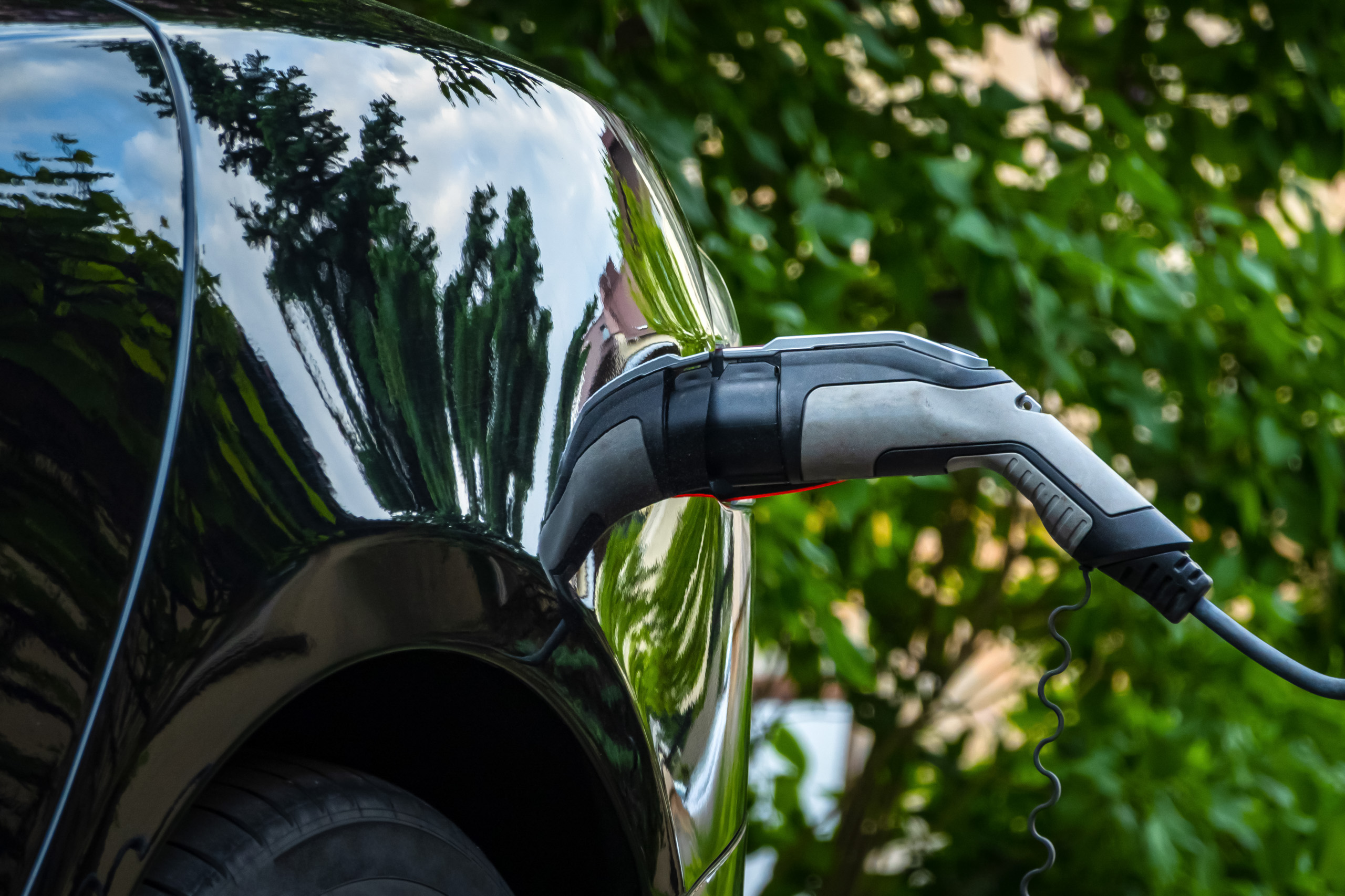 Charger plug in electric car on green environment background. New energy vehicle, NEV is being loaded with electricity power. Ecology, modern day cars
