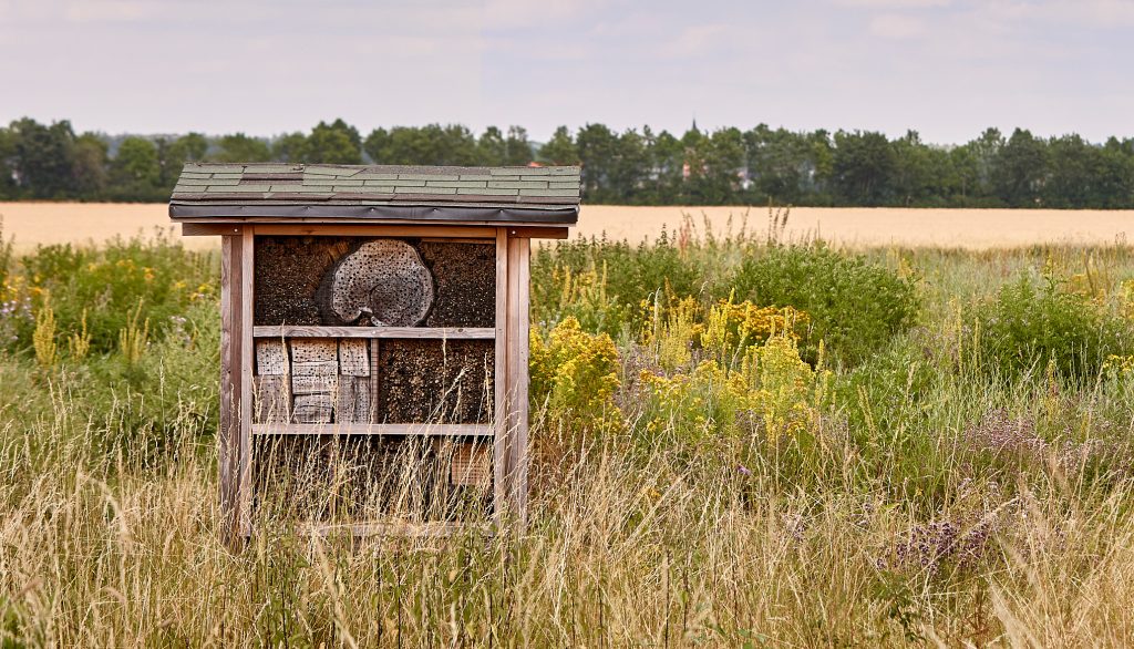 A picture of a pro Planet project meeting with apple produce. Here you can see an insect hotel in a field of wild flowers