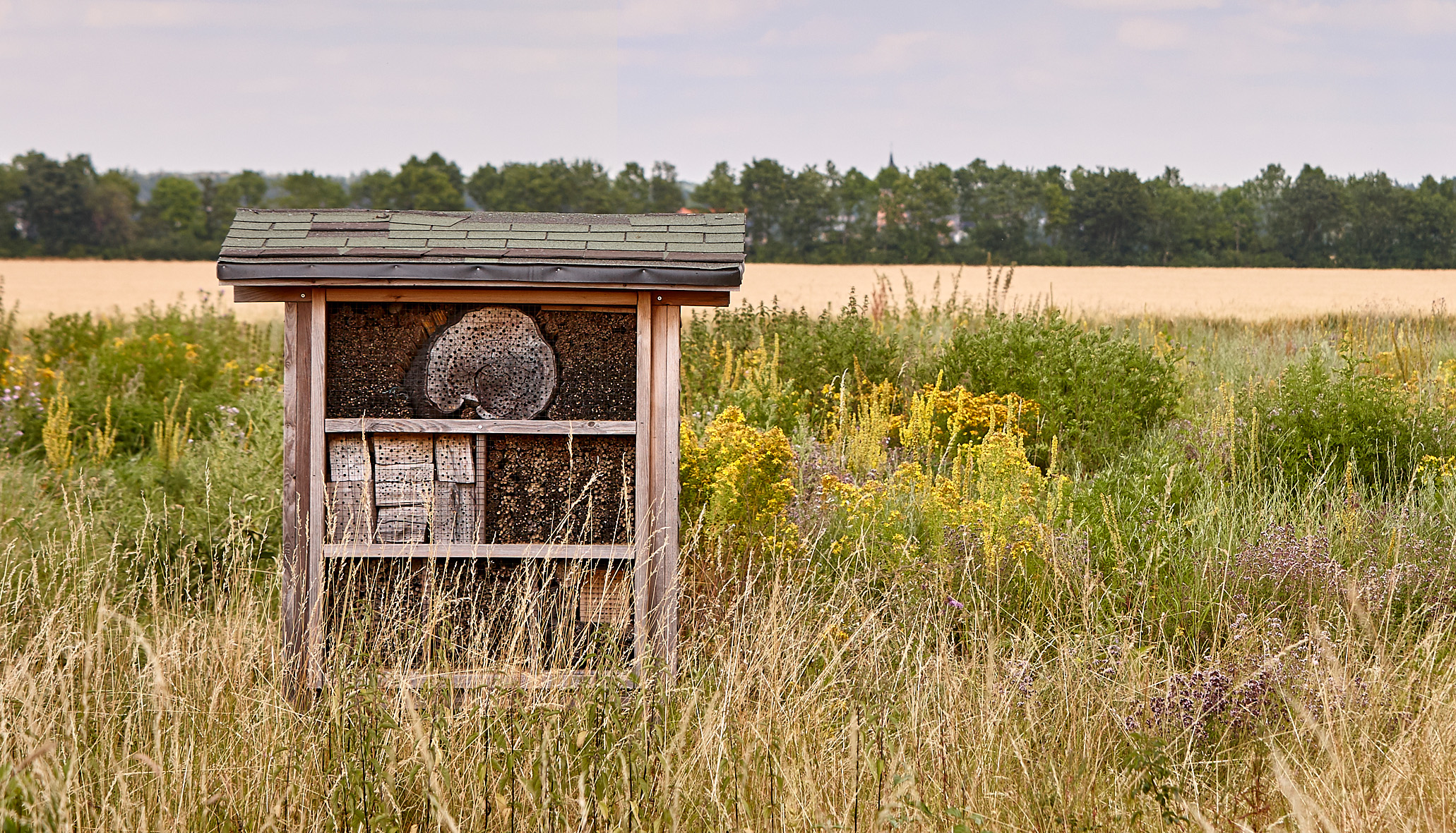 Ein Bild eines pro Planet Projekttreffens mit Apfelerzeugnis. Hier ist ein Insektenhotel in einem Feld aus Wildblumen zusehen
