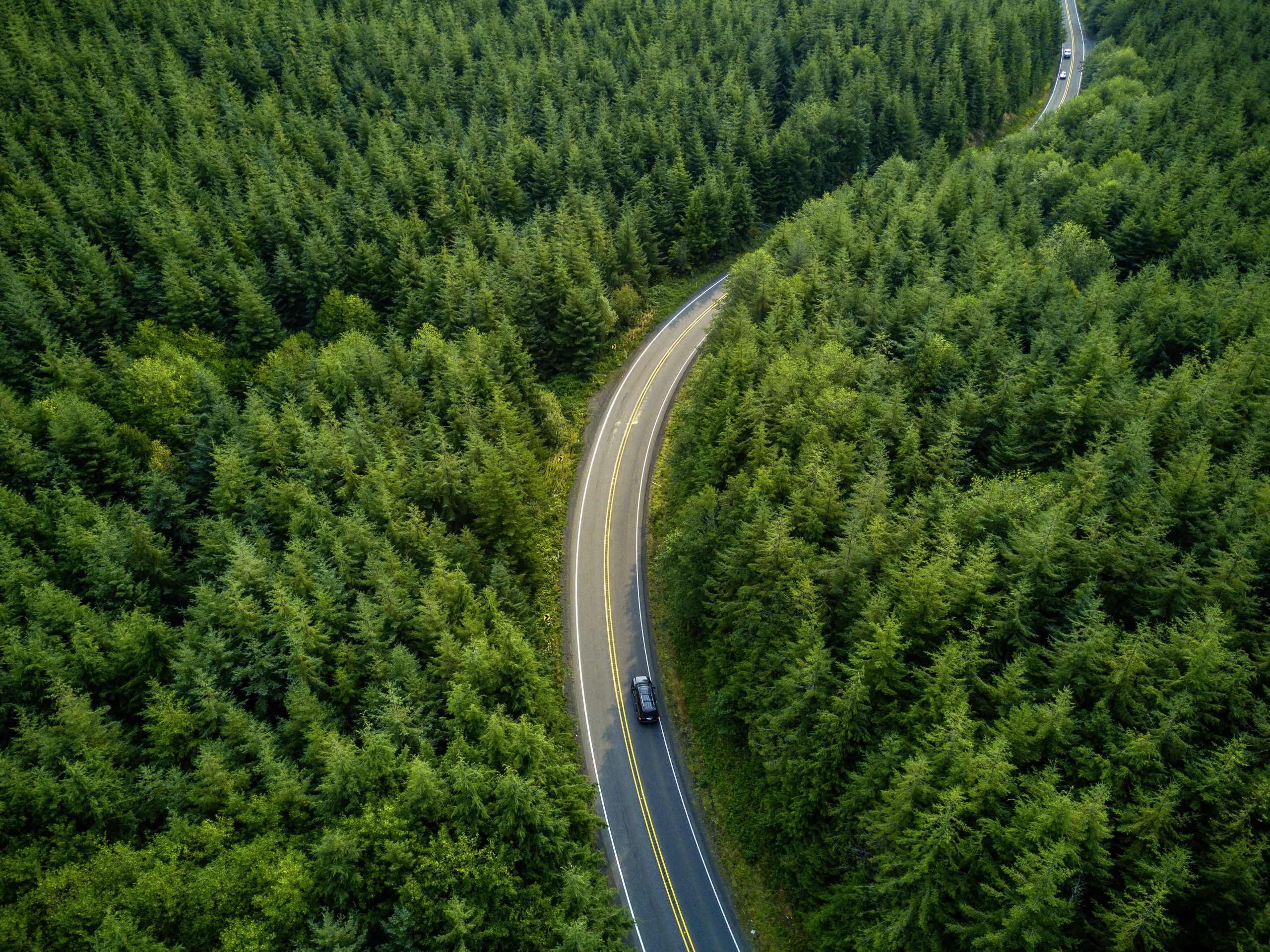 Luftaufnahme eines grünen Nadelwaldes durch den eine gewundene Straße mit wenigen Autos verläuft.