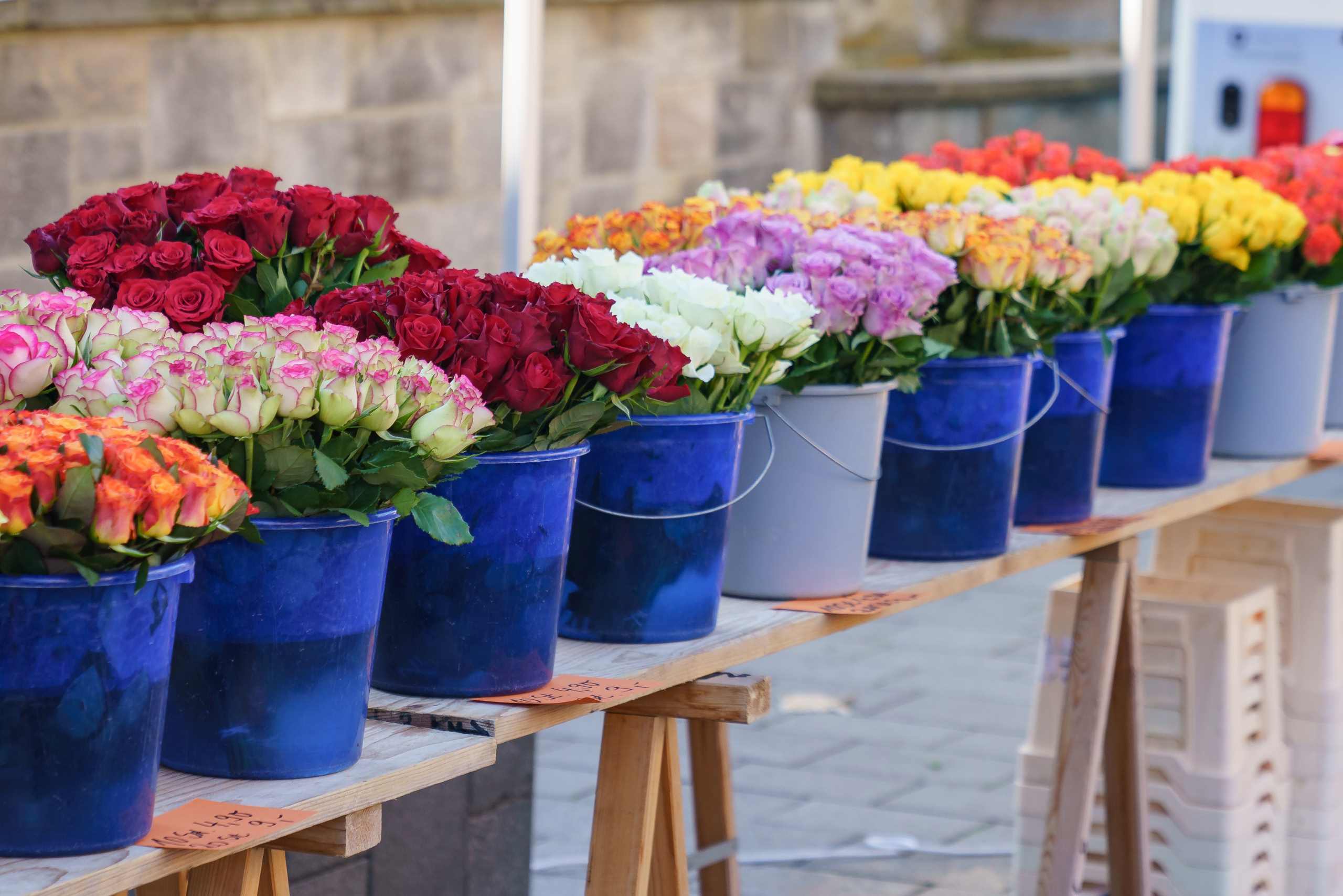 Selection of flowers in buckets on a table