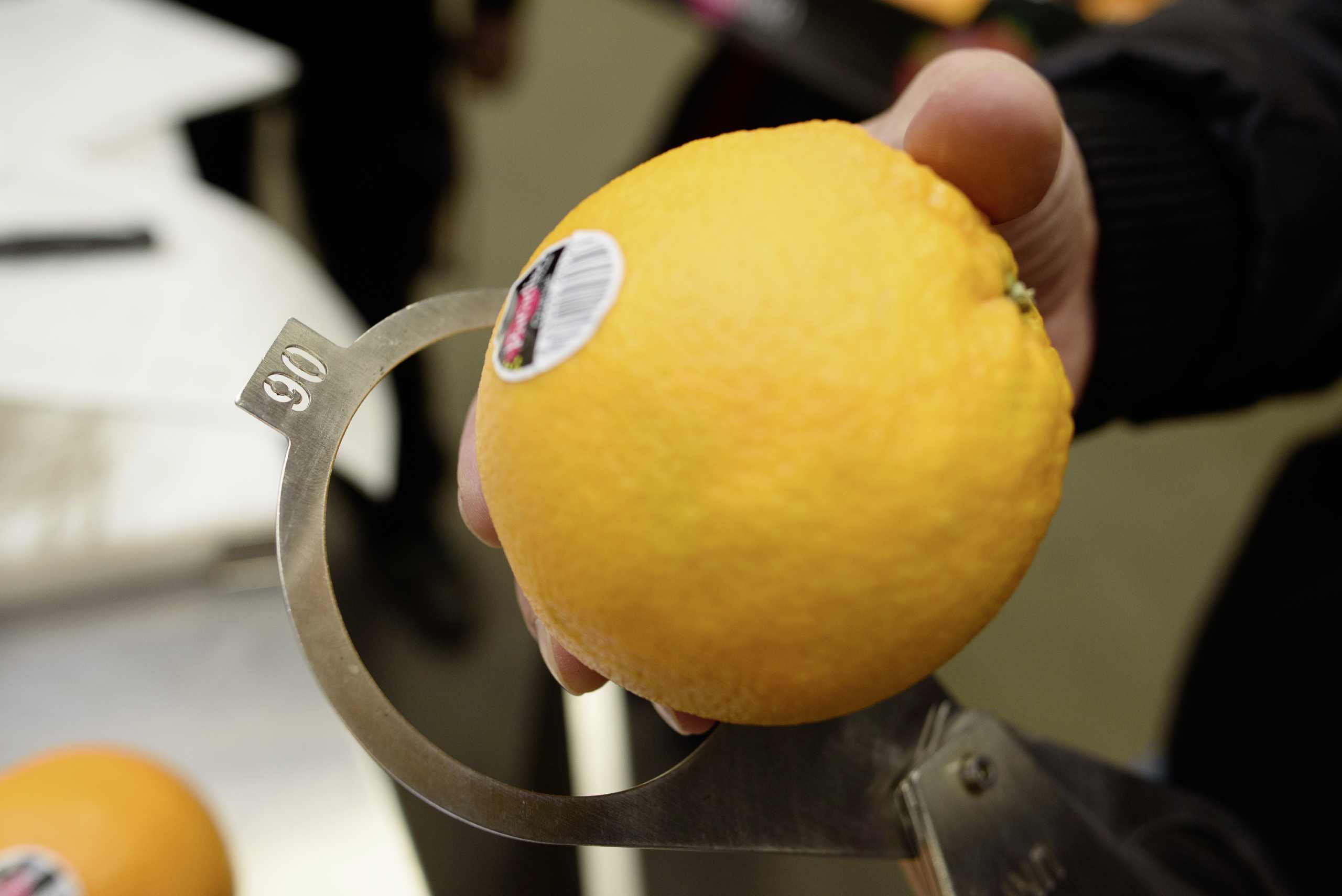 Orange vor einer Schablone zum messen