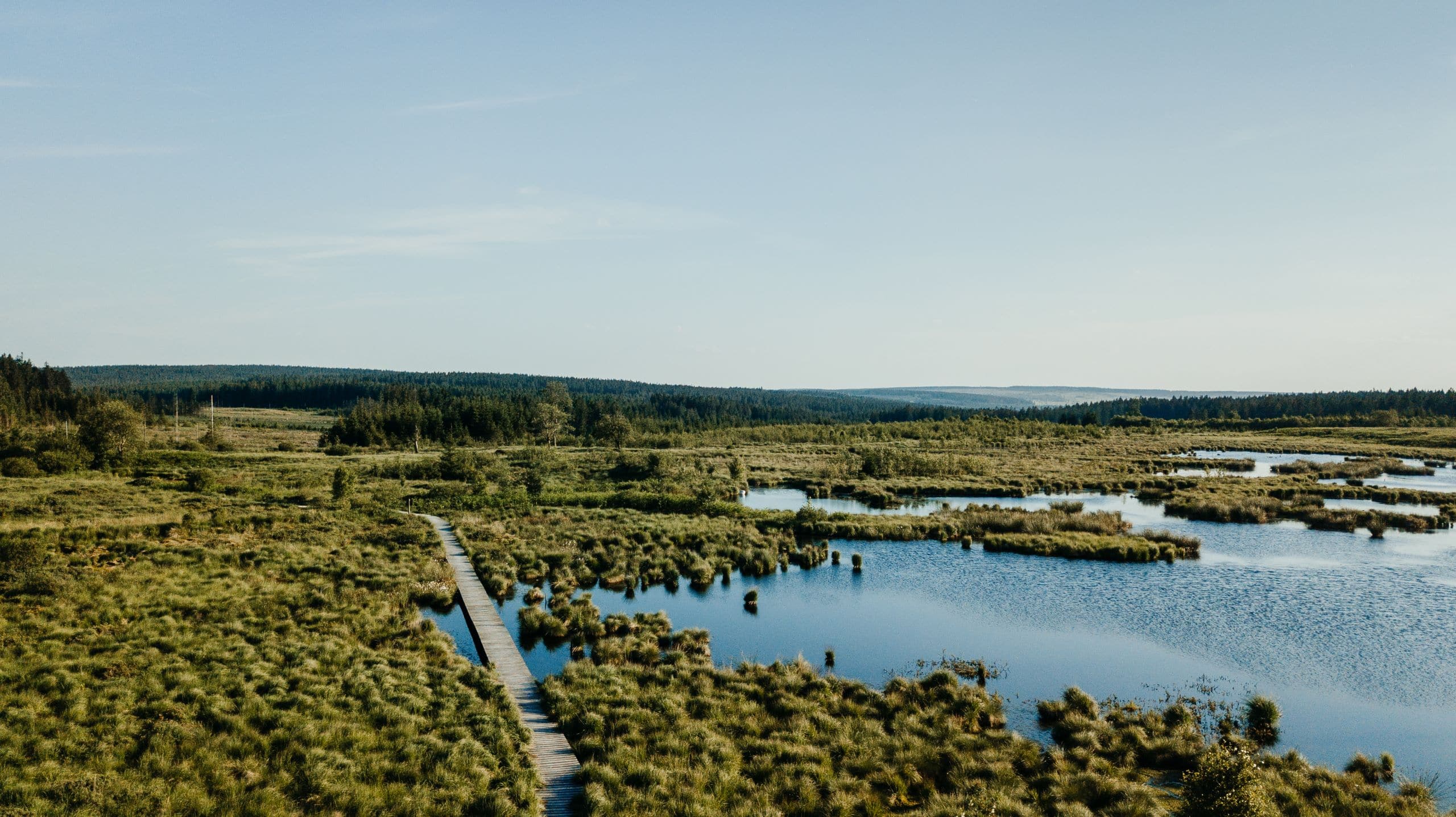 Bild von einer Moorlandschaft in der Sonne