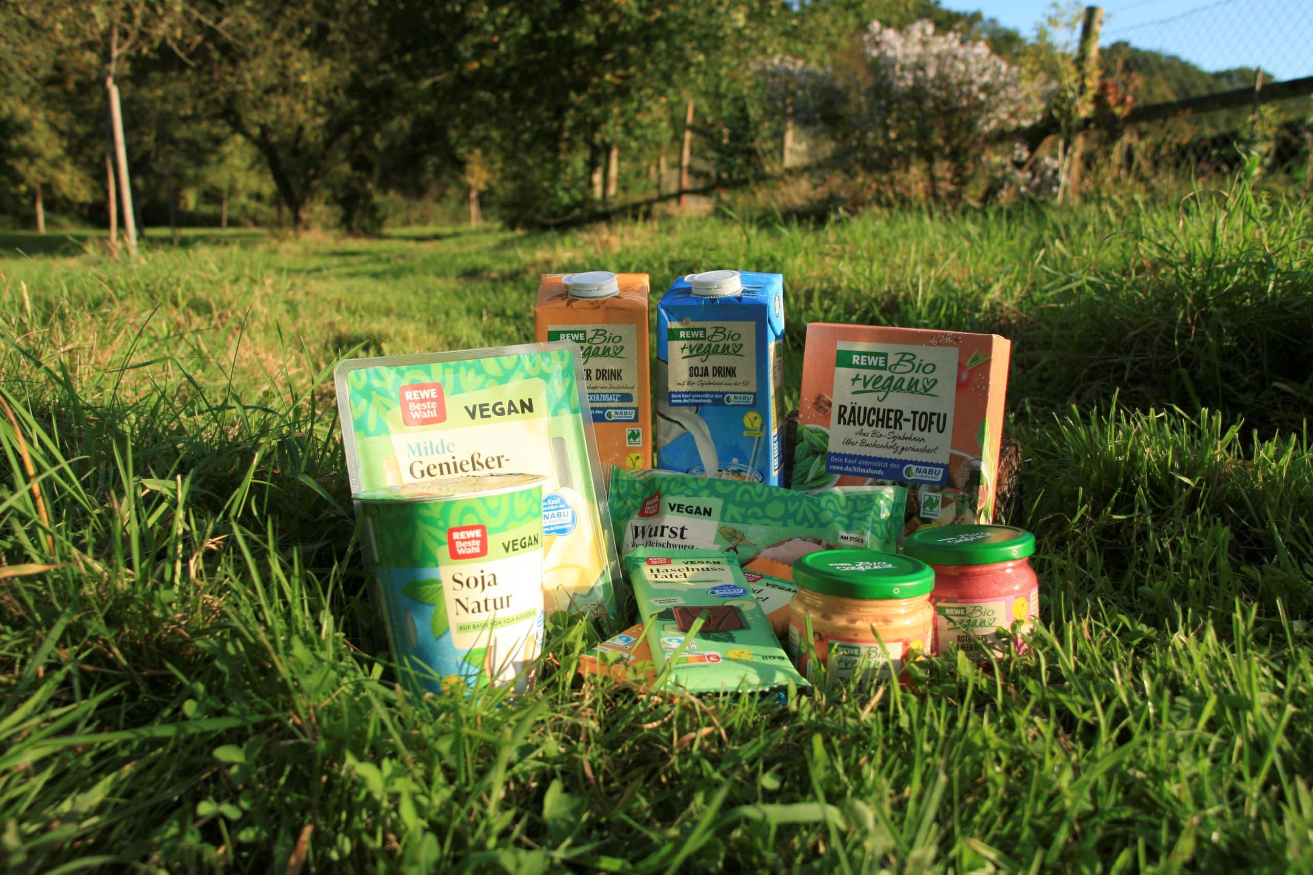 Vegane Produkte wie Soja Jogurt, Schokolade, Tofu und andere Ersatzprodukte im Gras.