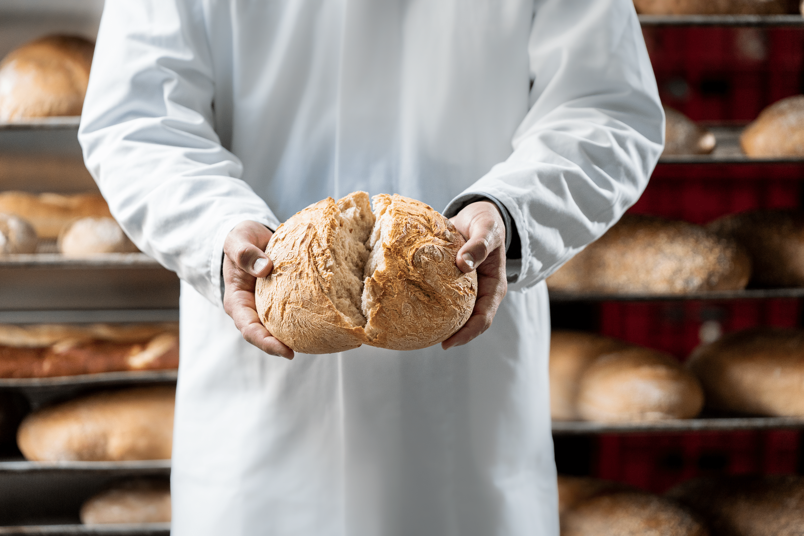 Hände die ein aufgebrochenes Brot halten