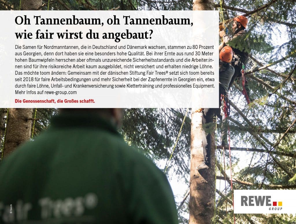 Arbeiter:innen bei der Arbeit auf einem Baum, gesichert mit Gurten. Ein Textfeld über die Stiftung Fair Trees.