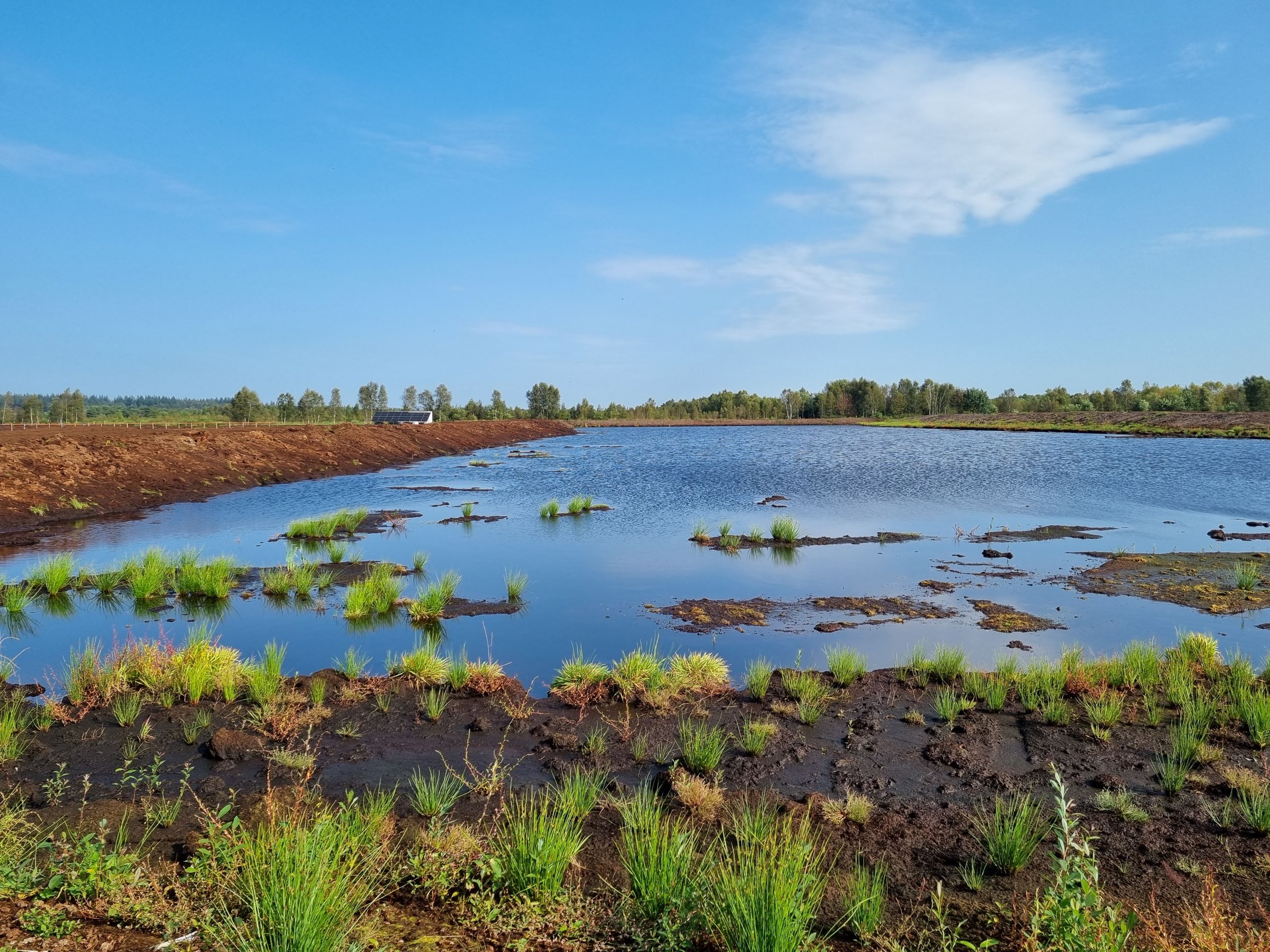 Aufnahme des Ahlen-Falkenberger Moores. Wasserfläche umgeben von Bäumen und Gras.
