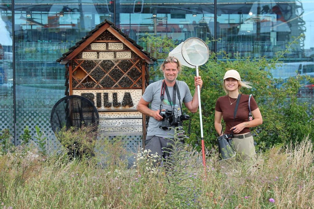 Ein Mann und eine Frau stehen auf einer blühenden Wiese vor einem Insektenhotel von BILLA