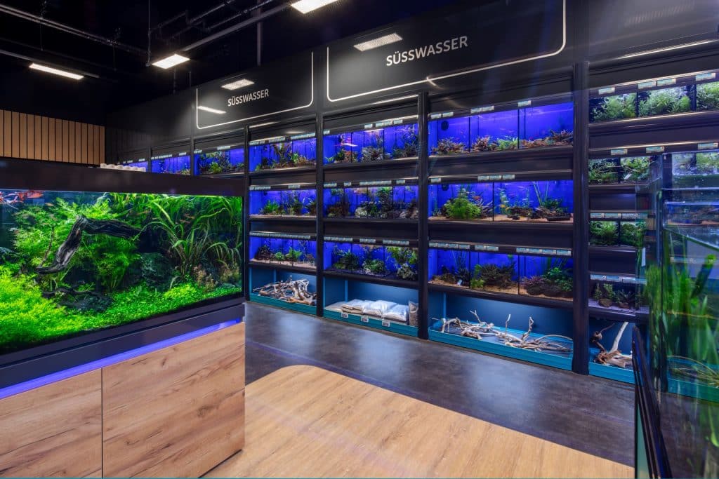 Aquaristik Abteilung im ZooRoyal Markt mit zahlreichen Aquarien.