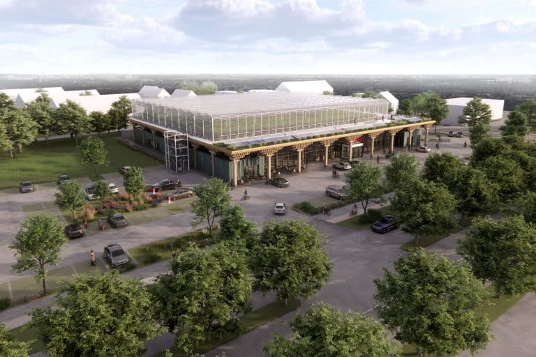 Darstellung der Ansicht von oben auf einen geplanten REWE Markt mit großer Dachfarm auf der Markthalle aus Holz und Glas.