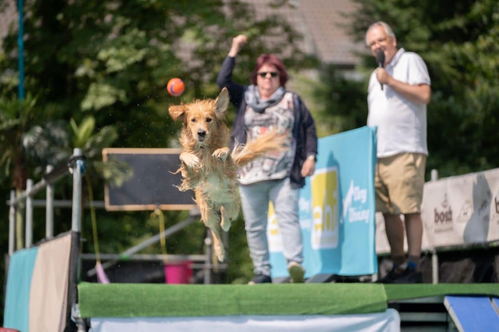 Im Vordergrund ein Hund, der einem Ball hinterherspringt. Im Hintergrund verschwommen zwei Personen, von denen eine den Ball geworfen hat.