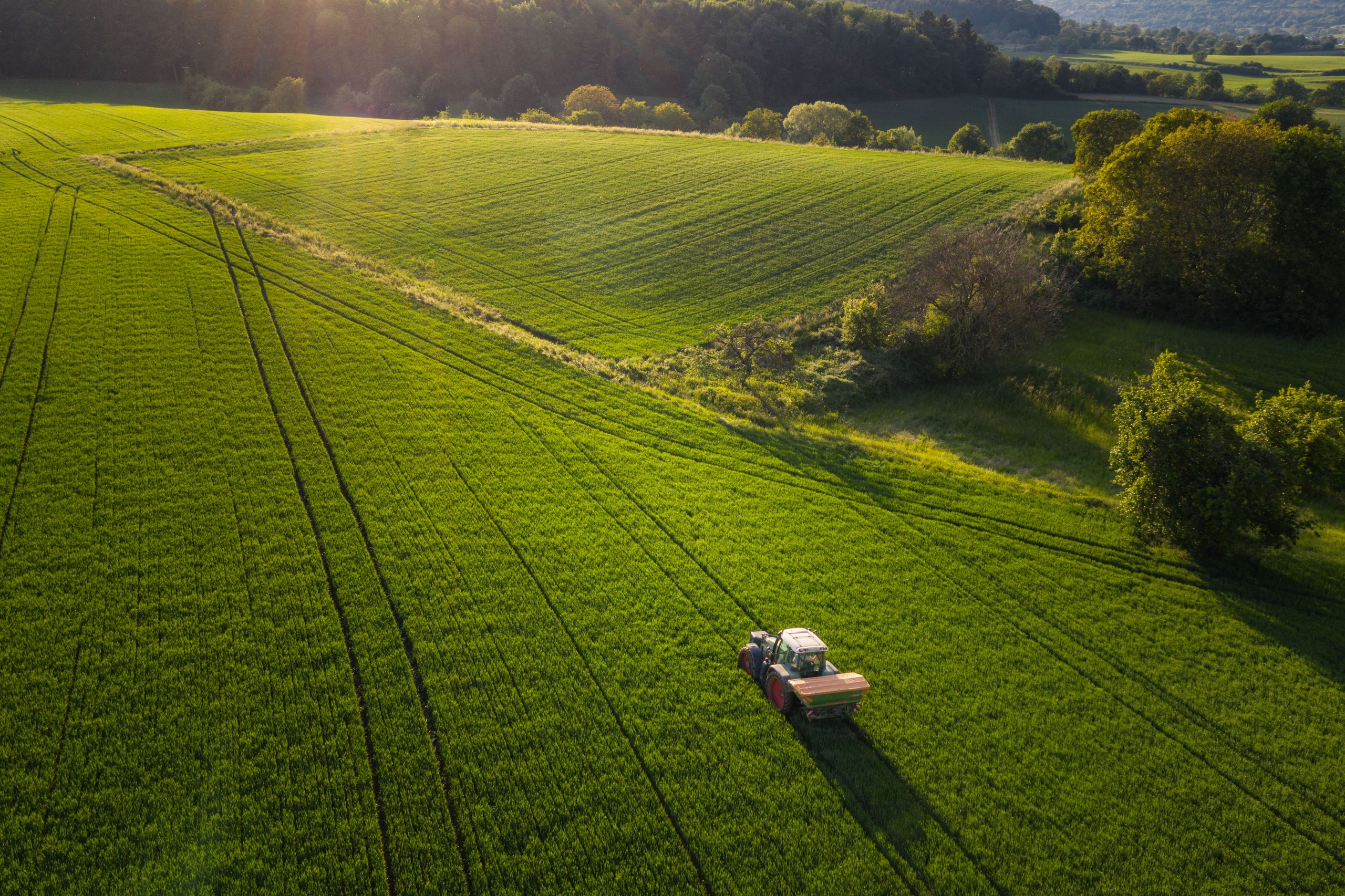 Traktor auf einem Feld