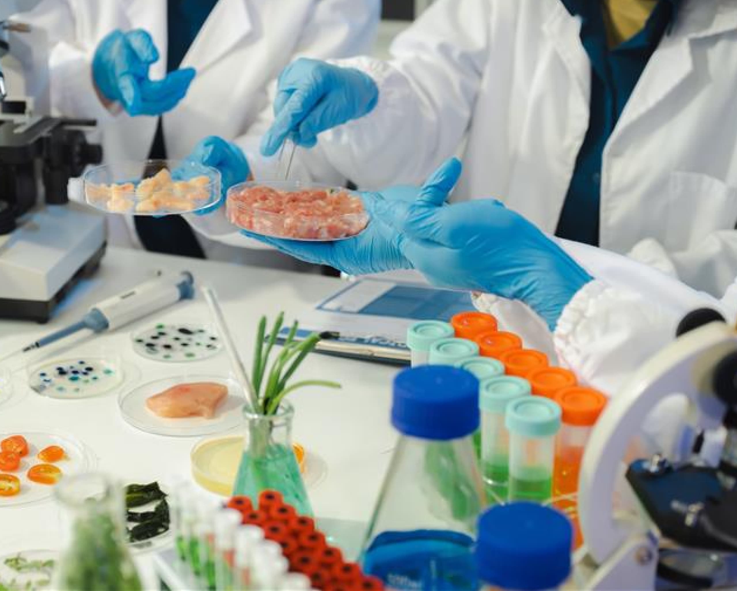 Team von Mikrobiologen analysiert molekulare Proben im Labor für Lebensmittelwissenschaften