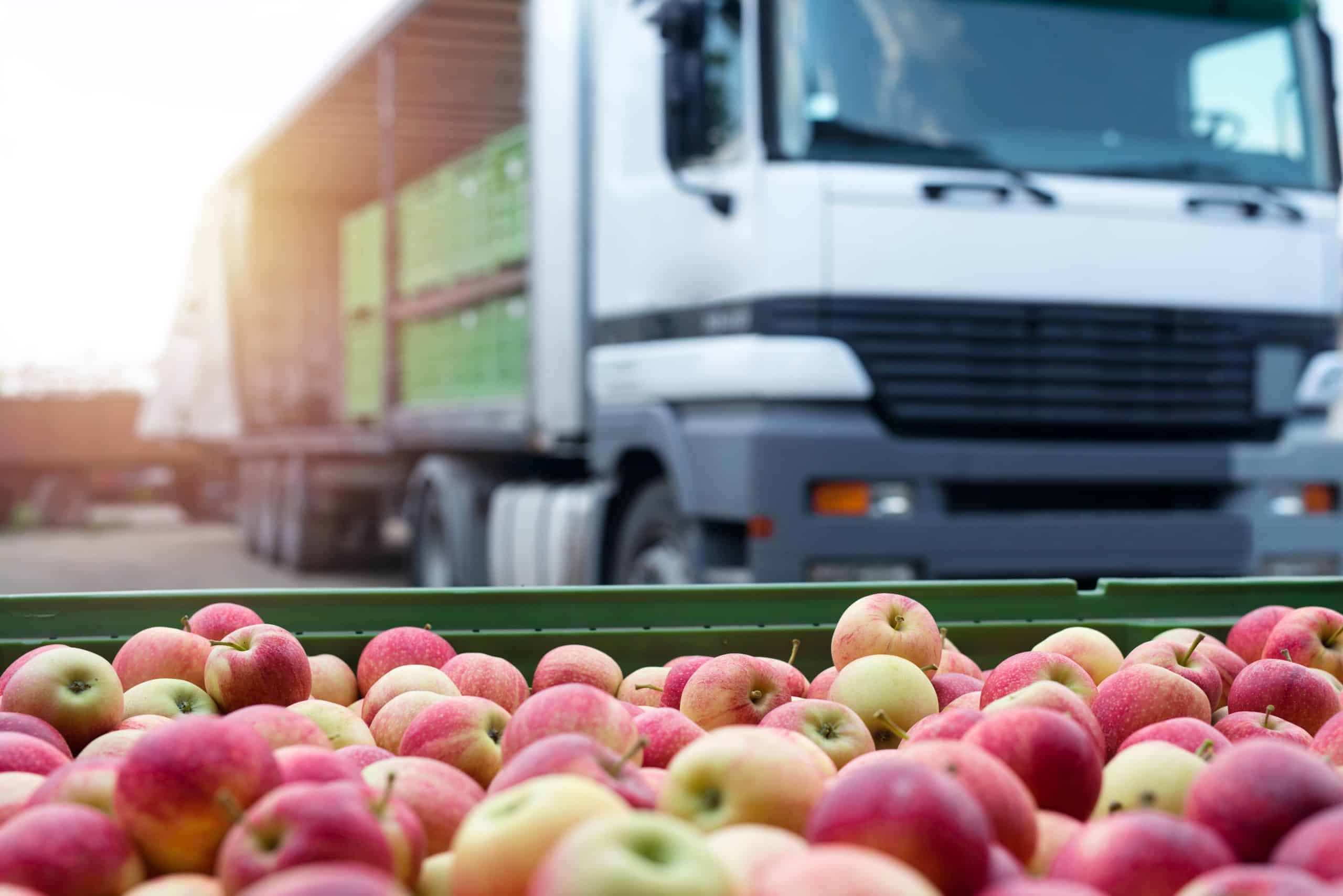 Im Vordergrund liegt eine große Menge roter Äpfel in einer Kiste. Dahinter steht ein LKW mit geöffnetem Anhänger, beladen mit grünen Transportkisten.