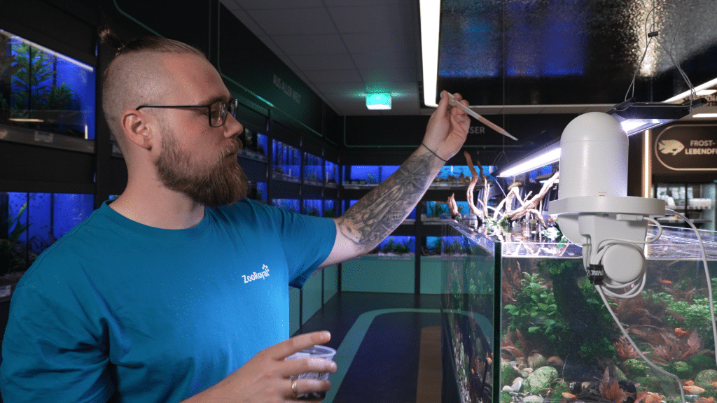 Mann in türkisfarbenem T-Shirt mit Tätowierung am Handgelenk füttert Fische in Aquarium mit einer Pipette.