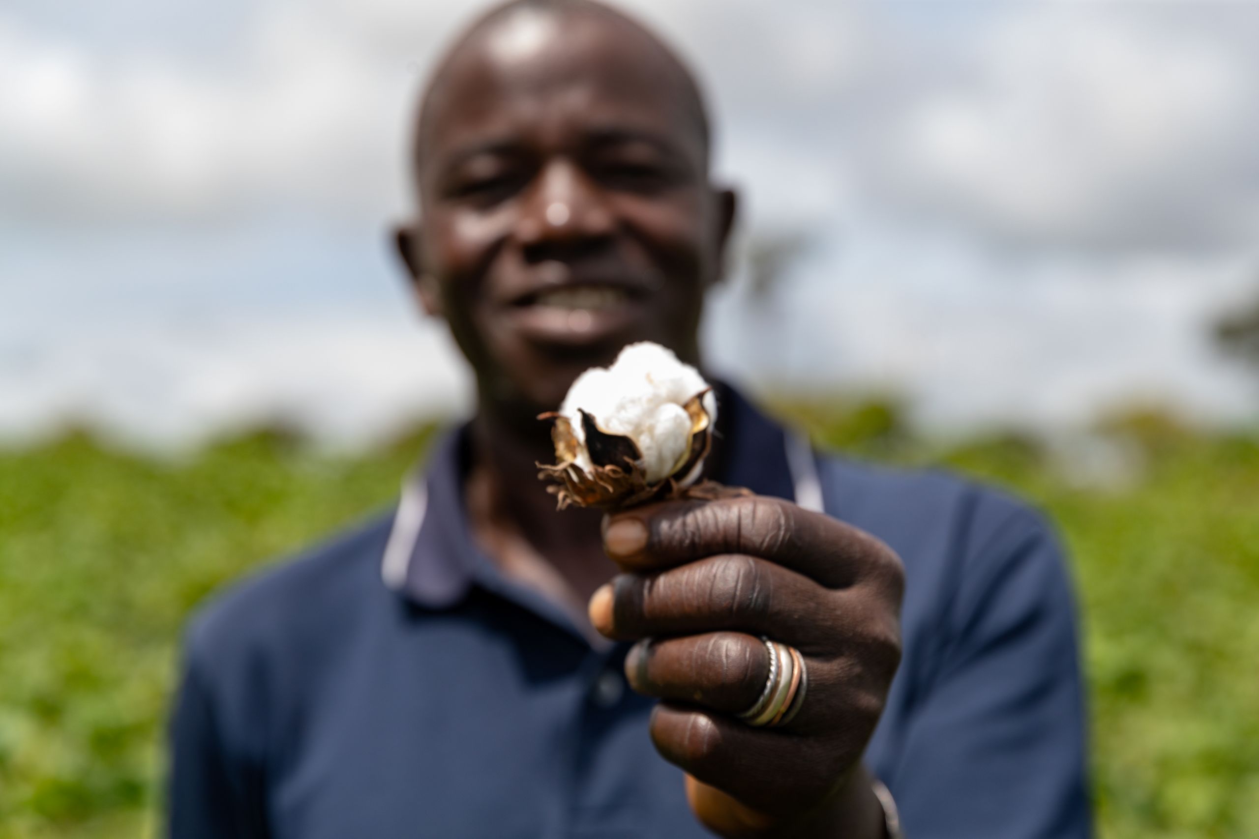 Close-up of a person holding an open cotton boll into the camera, while a field is blurred in the background.