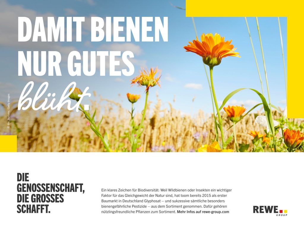 Orangefarbene Blumen stehen vor einem goldenen Getreidefeld unter blauem Himmel, daneben großer Text: 