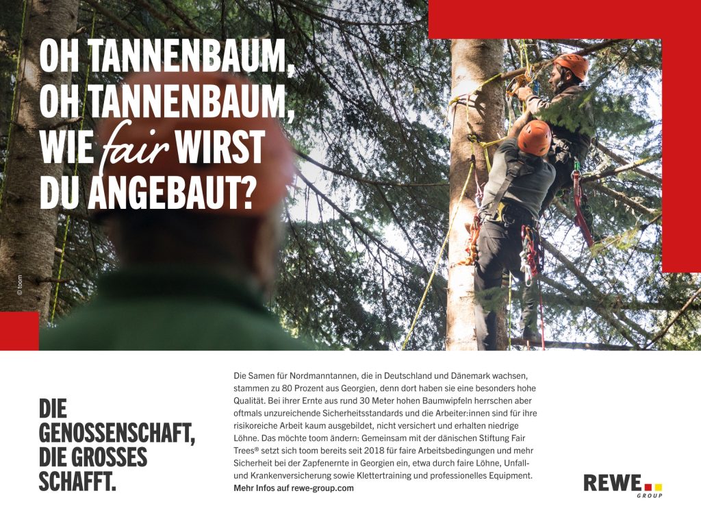 Zwei gesicherte Personen arbeiten mit Kletterausrüstung in einer hohen Tanne im Wald, während im Vordergrund eine weitere Person unscharf zu sehen ist, daneben großer Text: 
