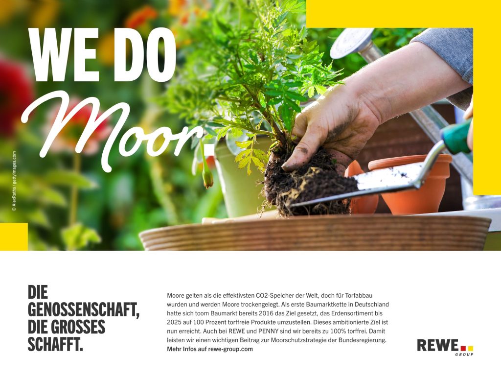 Hand beim Umtopfen einer Pflanze mit Wurzelballen in einen Blumentopf, mit Gartenwerkzeug im Hintergrund und dem Schriftzug 