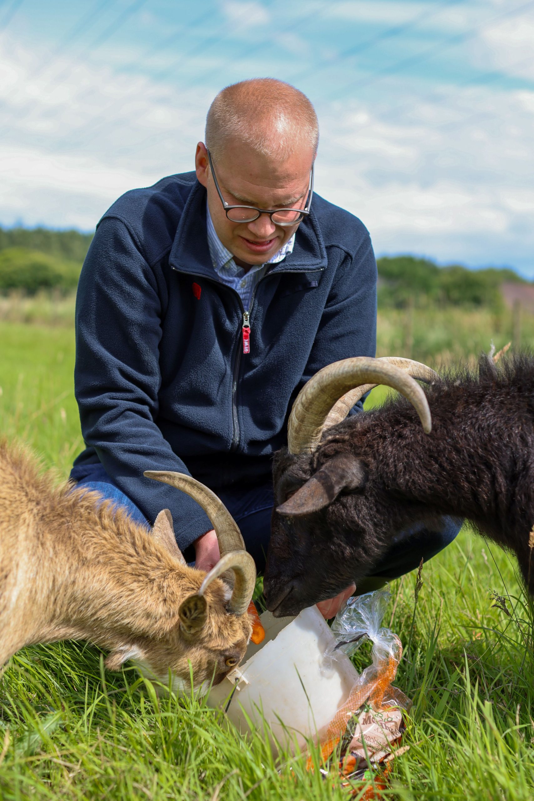 Simon Bacher, a REWE store clerk, is feeding carrots from a feeding bowl to two horned goats in a green meadow.